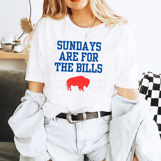 Sundays Are For The Bills T-Shirt, Sweatshirt, or Hoodie